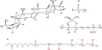 Squalenoylated Nanoparticle Pro-Drugs of Adjuvant Antitumor 11α-Hydroxyecdysteroid 2,3-Acetonides Act as Cytoprotective Agents Against Doxorubicin and Paclitaxel